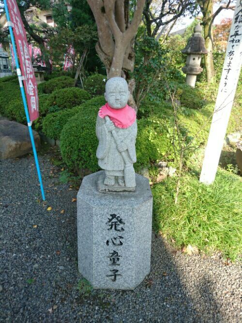 rblog-20170111235906-09.jpg
