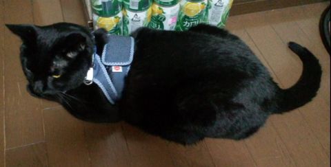 画像 102.jpg