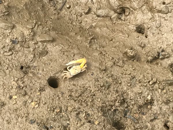 rblog-20171008200706-07.jpg