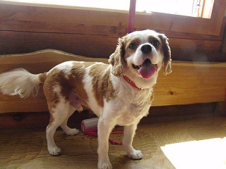 作業用画像その２ 306.jpg