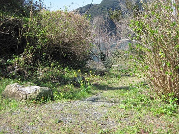 010.JPG