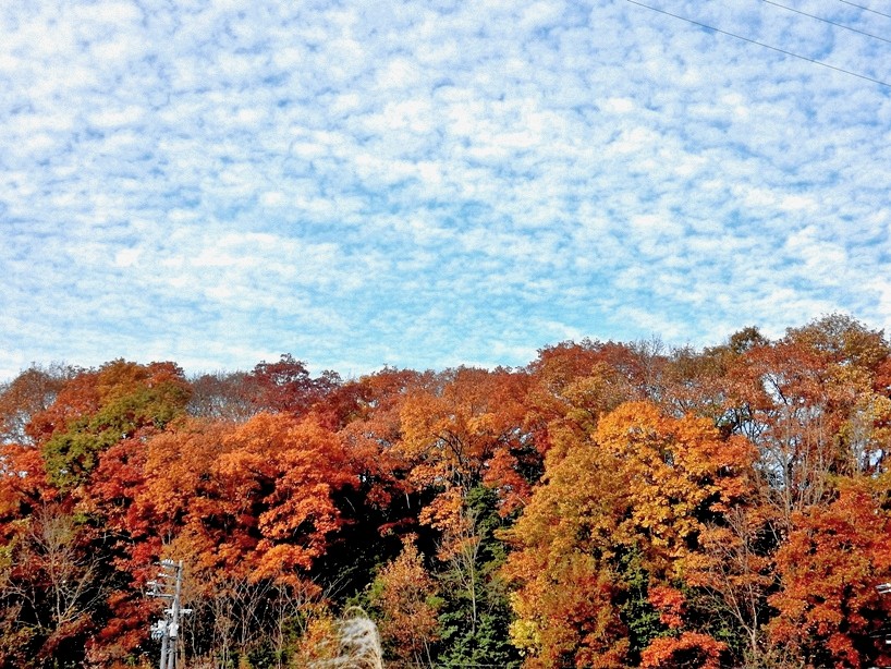 空 13.JPG