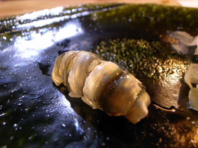 RIMG20857.JPG
