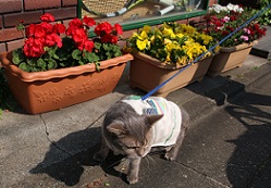 IMG_4022-26.jpg