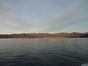 DSC02769.JPG