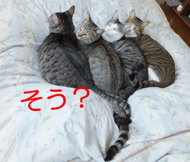 20121117_4.jpg
