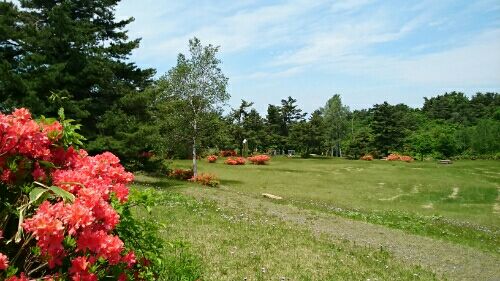 rblog-20160604114042-01.jpg