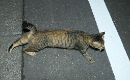 5DA_4741-19.jpg