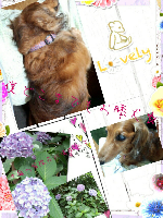 rblog-20130629010305-01.png