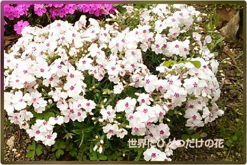 rblog-20160421195943-00.jpg