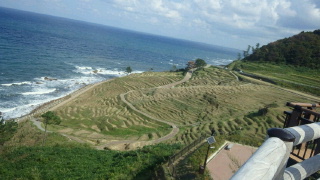 シニア旅行千枚田.jpg