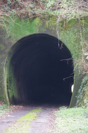 108.蒸気機関車の頃のトンネルなので、とても狭い