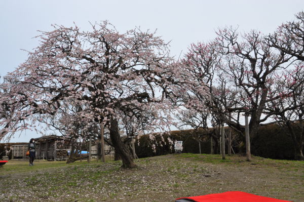 内山邸