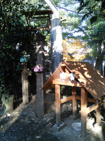 2013/11/19(2)