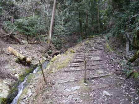 P1060342（山道）.jpg