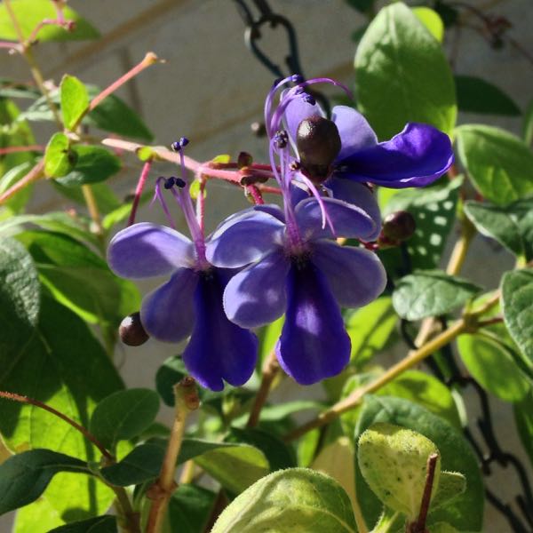 rblog-20150914101404-01.jpg