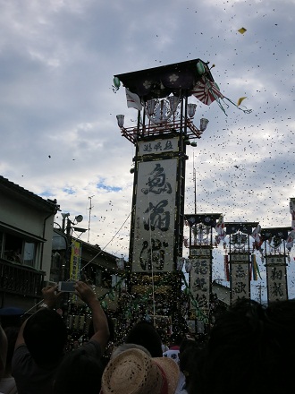 IMG_3411.jpg