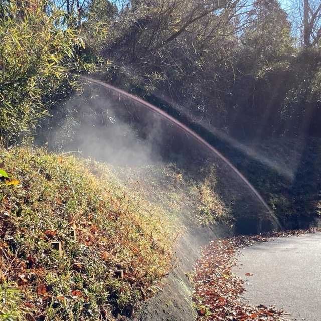 1 12のお散歩 無趣味女の日々日記 楽天ブログ