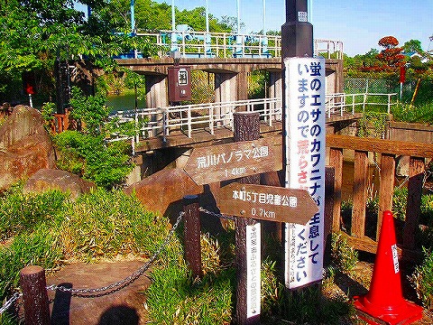 2012051305.jpg