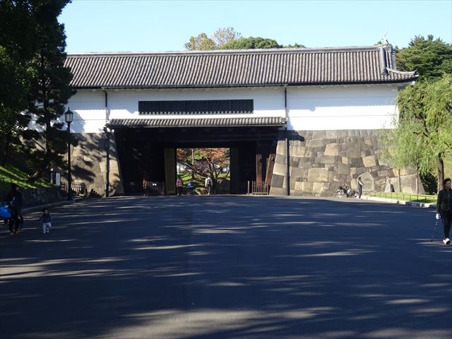DSC07460_R.JPG