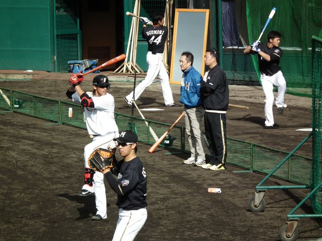 DSCF9123.JPG