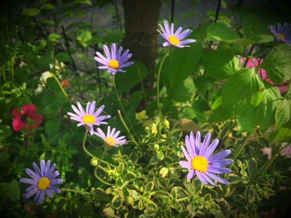 rblog-20160426175049-09.jpg
