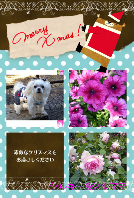 シルちゃんママさん