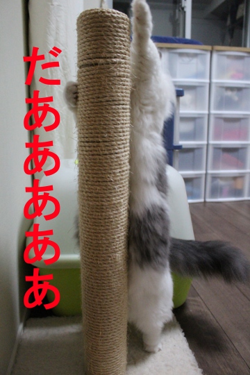 mumu8.JPG