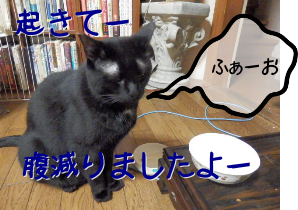 P7080031.png
