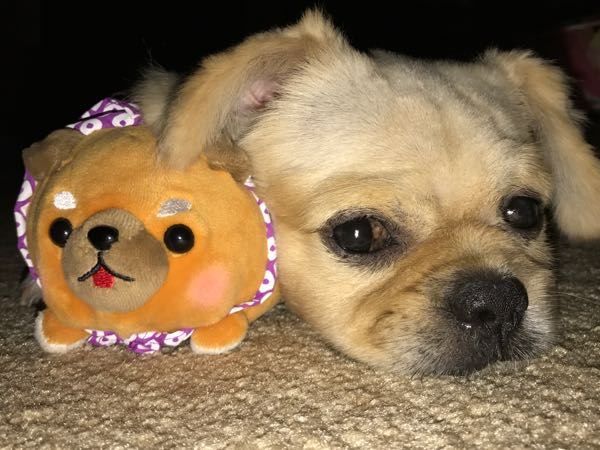 rblog-20170817224006-04.jpg