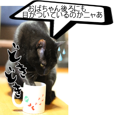 IMG_0456.png
