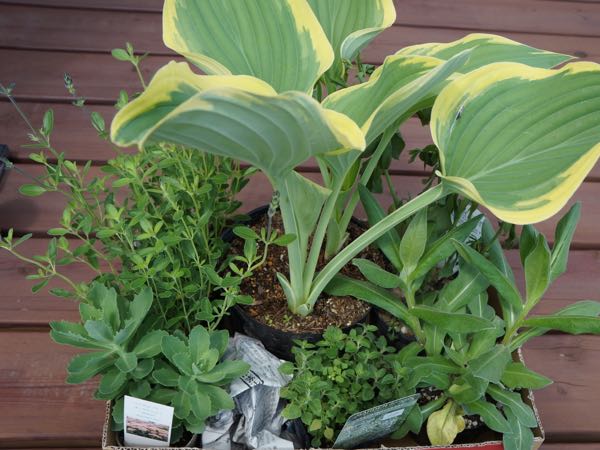 rblog-20160505213628-01.jpg