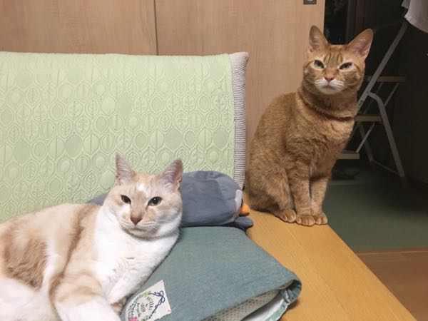 rblog-20190102215100-08.jpg