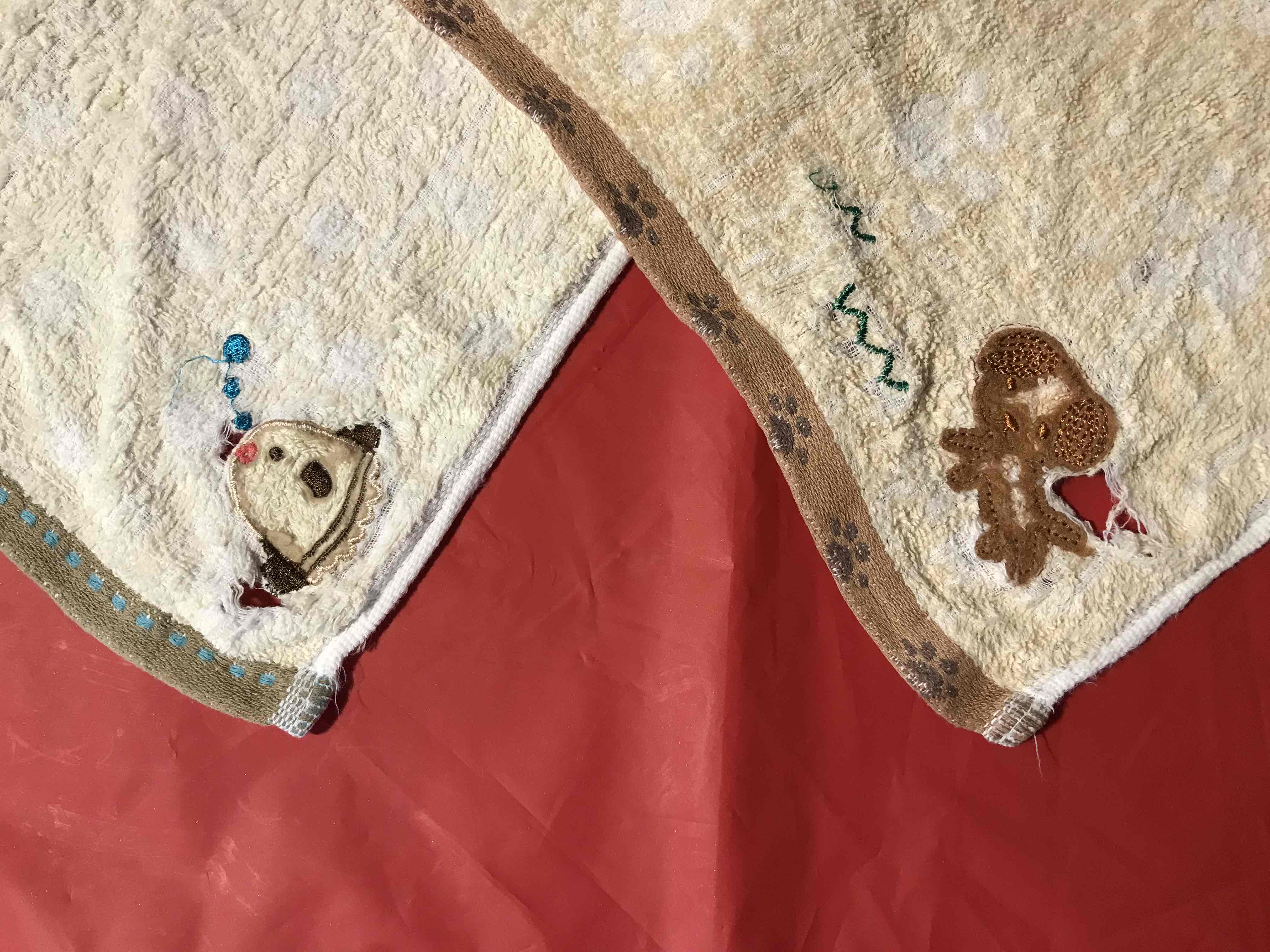 フェイスタオル　布巾 エアーかおる XTC エクスタシー フェイスタオル 日本製 タオル