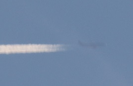 7D2_4685-14-1.jpg