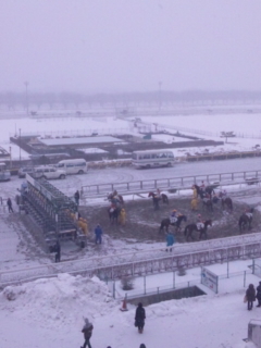 コースに雪が積もる水沢.jpg