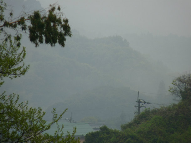 sP1010008.jpg