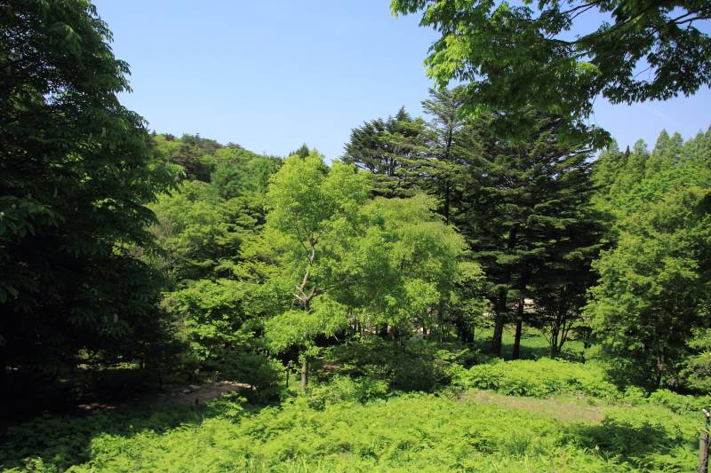 六甲高山植物園_002.jpg