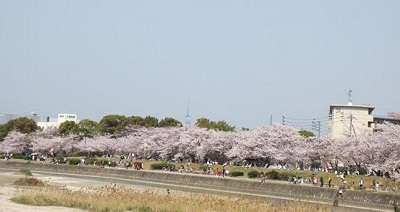 新着記事一覧 バーベキュー レンタル 福岡 q太郎 楽天ブログ