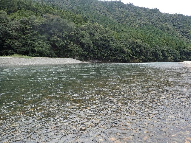 resize0010.jpg