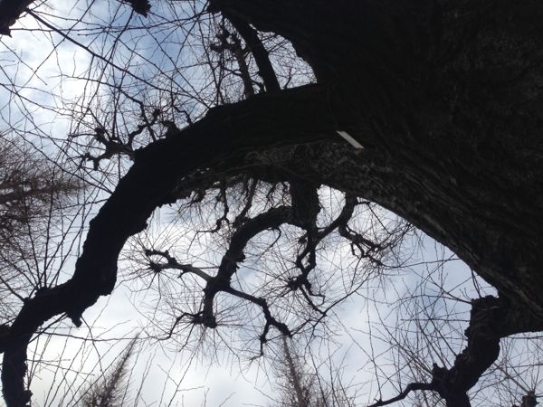 rblog-20140126134947-01.jpg