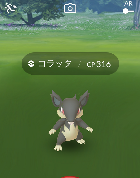 アローラコラッタ ポケモンgo大好きりんこのブログ 楽天ブログ