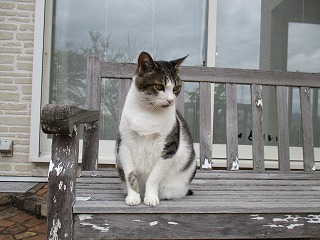 IMG_0130ss.jpg
