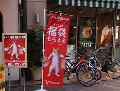 IMG_5118-5.jpg