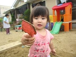 朝夕の温度差はありますが、外で遊ぶのが楽しい季節です | 育てているのは未来です - 楽天ブログ