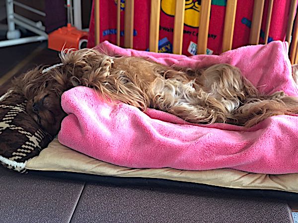 rblog-20180306221829-06.jpg
