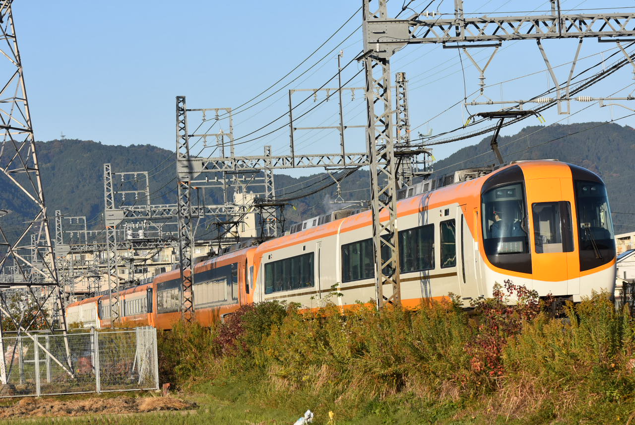 DSC_7880.JPG