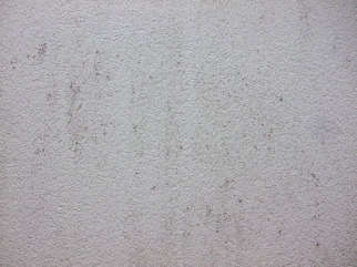 DSCF0769.jpg