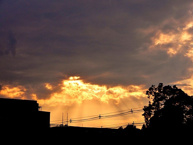 夕暮れ4