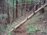 20120624_94.jpg